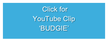  Click for
YouTube Clip
‘BUDGIE’
